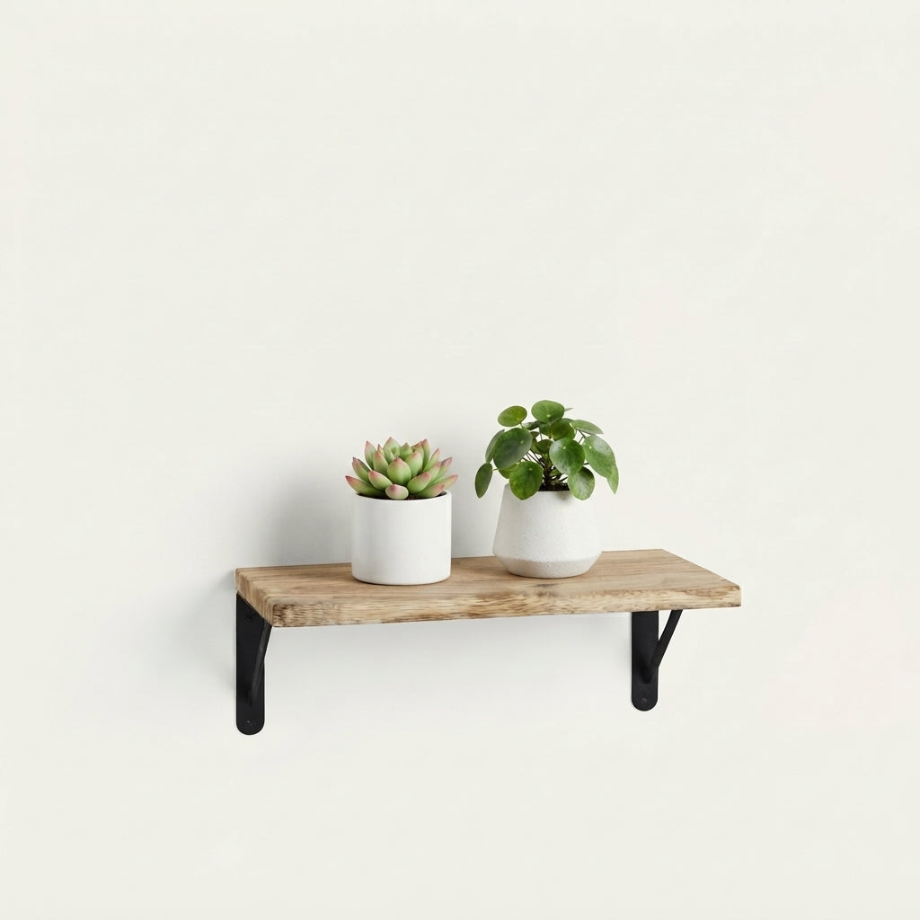 Ostenwood rustic wall shelf with black metal brackets and two potted plants on top