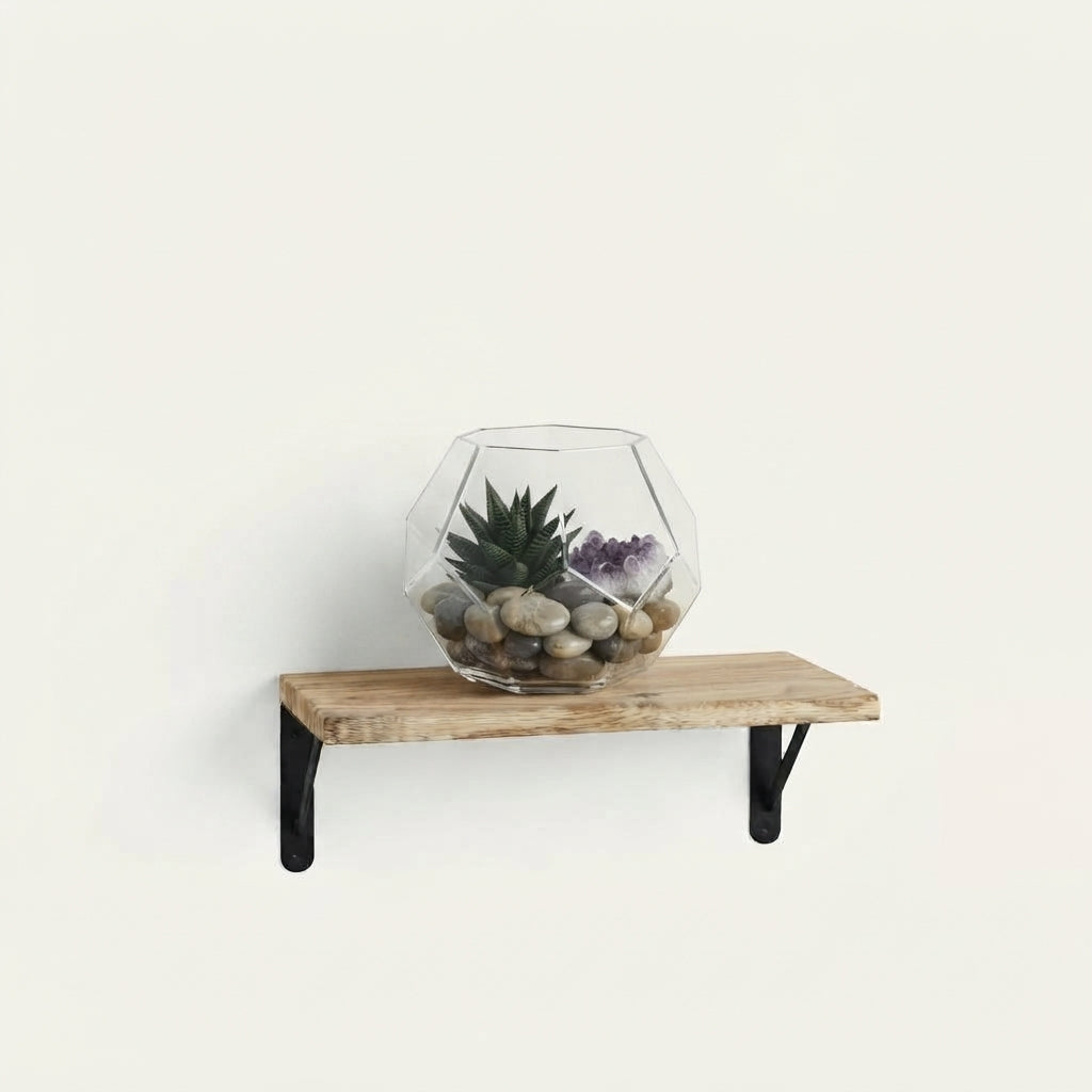 Ostenwood rustic wall shelf with black metal supports and glass terrarium on top