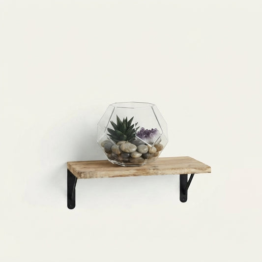 Ostenwood rustic wall shelf with black metal supports and glass terrarium on top
