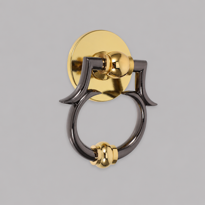Brass and dark metal ring door knocker with classical circular backplate